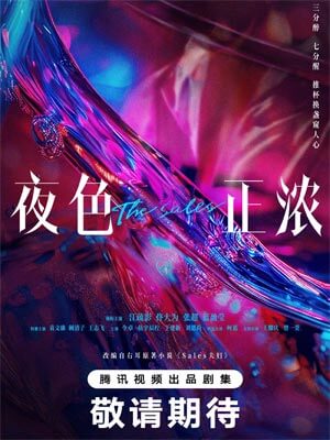 Sales夫妇（夜色正浓）小说封面