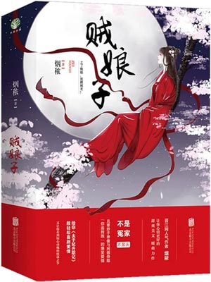 贼娘子（柳叶摘星辰）小说封面