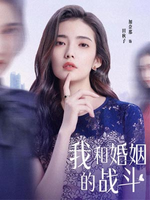 我和婚姻的战斗（婚内婚外）小说封面