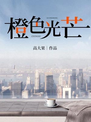 橙色光芒（蔷薇风暴）小说封面