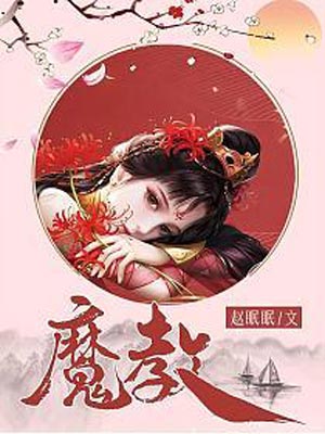 魔教（风武雁华）小说封面