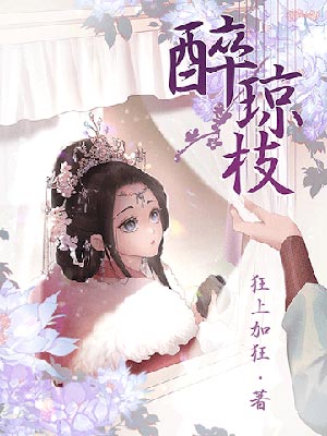 醉琼枝小说封面