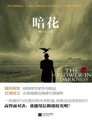暗花（特别行动）小说封面