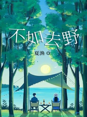 不如去野小说封面