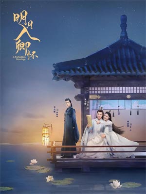 师叔你这样很容易失去我（明月入卿怀）小说封面