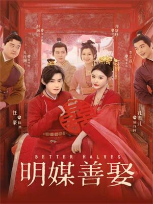 明媒善娶小说封面
