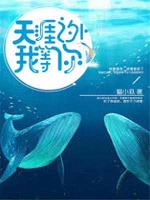天涯之外我等你小说封面