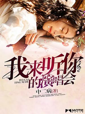 我来听你的演唱会小说封面