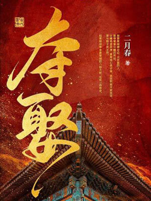 夺娶小说封面