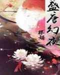 盛唐幻夜小说封面