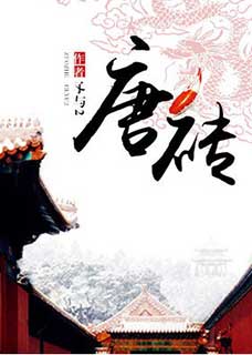 唐砖小说封面