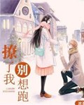 撩了我别想跑小说封面