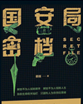 国安局密档小说封面