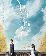 淑女飘飘拳小说封面