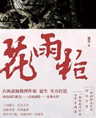 花雨枪小说封面
