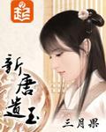 新唐遗玉小说封面