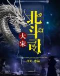 大宋北斗司小说封面