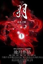 羽·赤炎之瞳小说封面