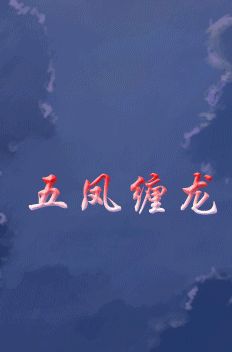 五凤缠龙小说封面