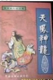 天凤神龙小说封面