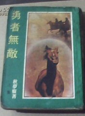 勇者无敌小说封面