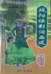 残阳侠影泪西风小说封面