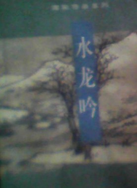 水龙吟小说封面