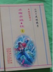 杀魔求道续小说封面