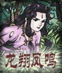 龙翔凤鸣小说封面