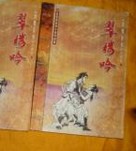 翠楼吟小说封面