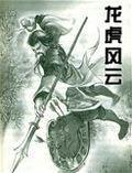 龙虎风云小说封面