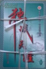 独战天涯小说封面