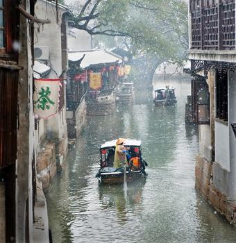 玉露金风小说封面