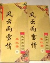 风云雨雪情小说封面