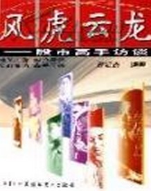风虎云龙小说封面