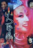 火凤凰小说封面