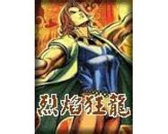 烈焰狂龙小说封面