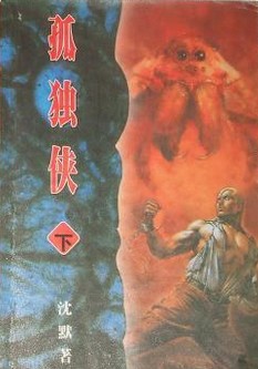 孤独侠小说封面