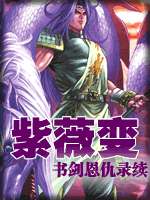 紫薇变小说封面