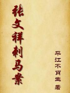 张文祥刺马案小说封面