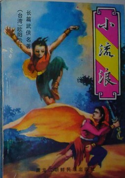小流浪小说封面