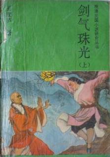 剑气珠光小说封面
