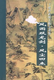 风雨双龙剑小说封面