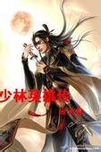 少林英雄传小说封面