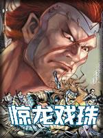 惊龙戏珠小说封面