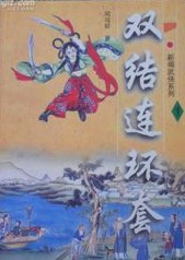 双结连环套小说封面