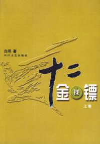 十二金钱镖小说封面