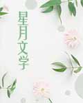 左巷故事小说封面
