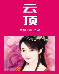 云顶小说封面