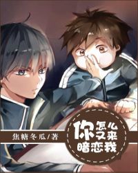 你怎么又来暗恋我小说封面